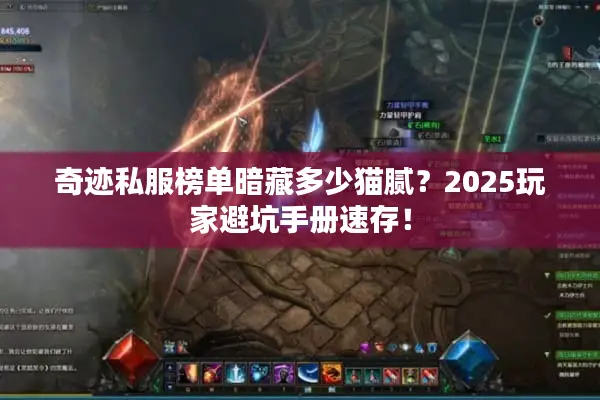 奇迹私服榜单暗藏多少猫腻？2025玩家避坑手册速存！