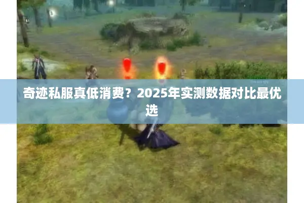 奇迹私服真低消费？2025年实测数据对比最优选