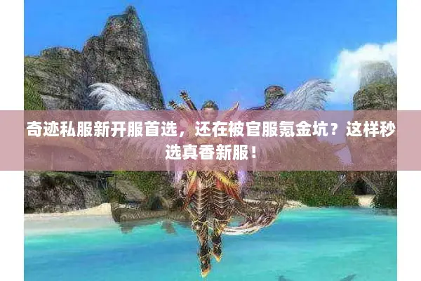 奇迹私服新开服首选，还在被官服氪金坑？这样秒选真香新服！