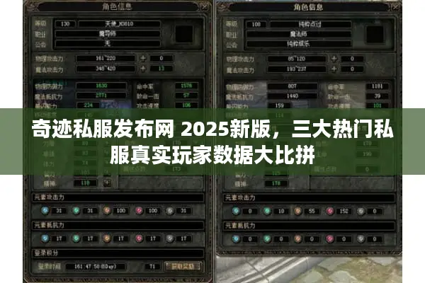 奇迹私服发布网 2025新版，三大热门私服真实玩家数据大比拼