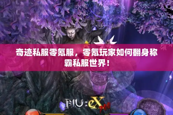 奇迹私服零氪服,零氪玩家如何翻身称霸私服世界! 奇迹私服零氪服,零氪玩家如何翻身称霸私服世界!