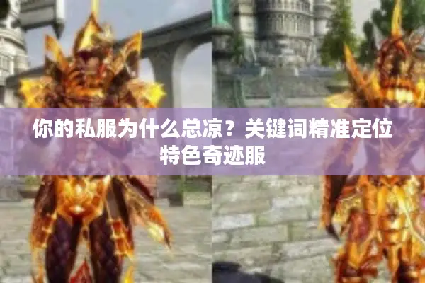你的私服为什么总凉？关键词精准定位特色奇迹服