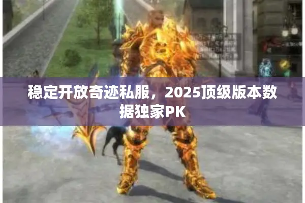 稳定开放奇迹私服，2025顶级版本数据独家PK