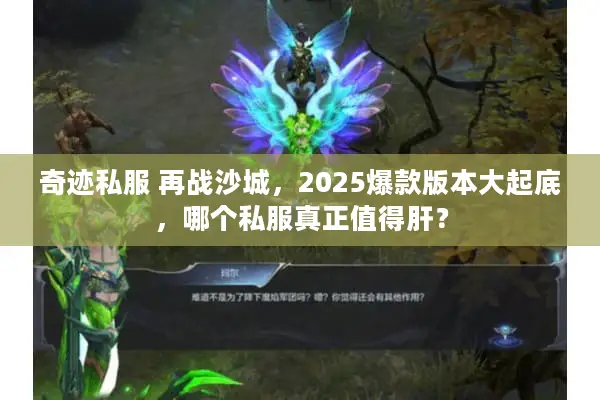 奇迹私服 再战沙城，2025爆款版本大起底，哪个私服真正值得肝？