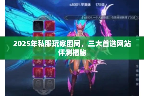2025年私服玩家困局，三大首选网站评测揭秘