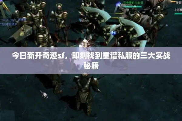 今日新开奇迹sf，即刻找到靠谱私服的三大实战秘籍