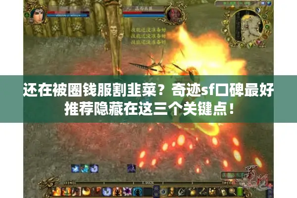 还在被圈钱服割韭菜？奇迹sf口碑最好推荐隐藏在这三个关键点！