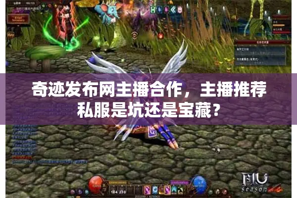 奇迹发布网主播合作，主播推荐私服是坑还是宝藏？