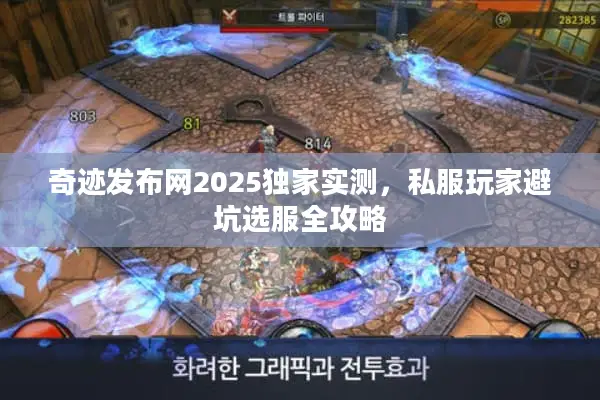 奇迹发布网2025独家实测，私服玩家避坑选服全攻略