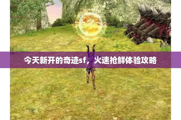 今天新开的奇迹sf，火速抢鲜体验攻略