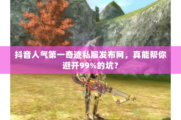 抖音人气第一奇迹私服发布网，真能帮你避开99%的坑？