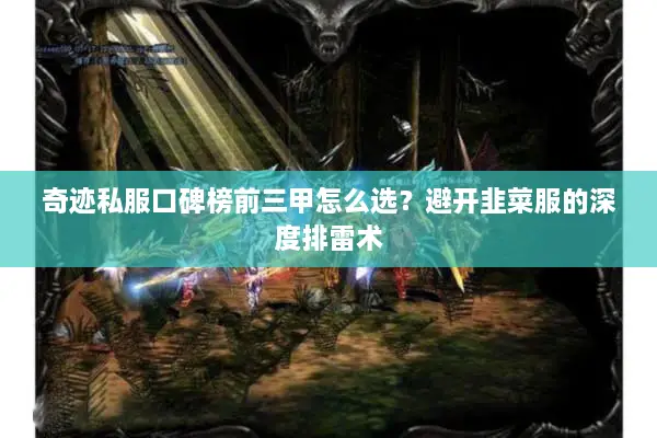 奇迹私服口碑榜前三甲怎么选？避开韭菜服的深度排雷术