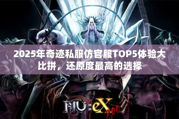 2025年奇迹私服仿官服TOP5体验大比拼，还原度最高的选择