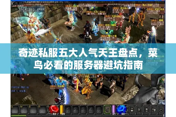 奇迹私服五大人气天王盘点，菜鸟必看的服务器避坑指南
