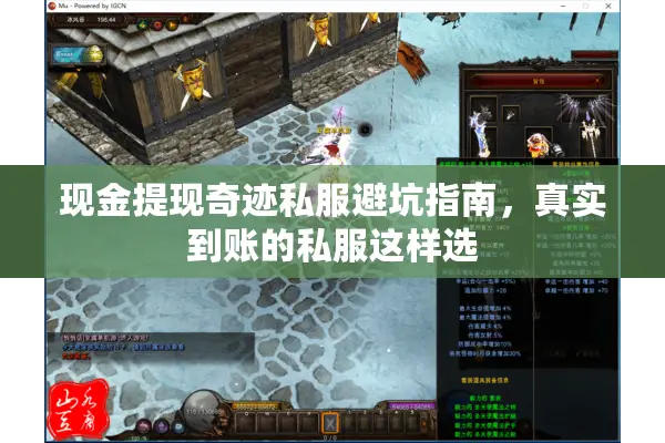 现金提现奇迹私服避坑指南，真实到账的私服这样选