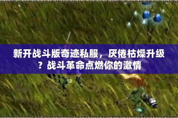 新开战斗版奇迹私服，厌倦枯燥升级？战斗革命点燃你的激情