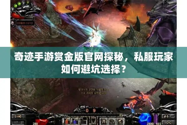 奇迹手游赏金版官网探秘，私服玩家如何避坑选择？