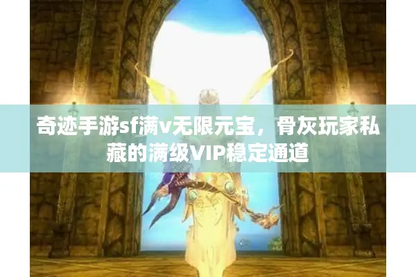 奇迹手游sf满v无限元宝，骨灰玩家私藏的满级VIP稳定通道