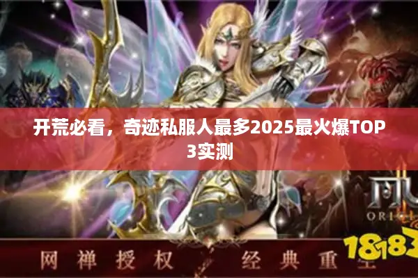 开荒必看，奇迹私服人最多2025最火爆TOP3实测