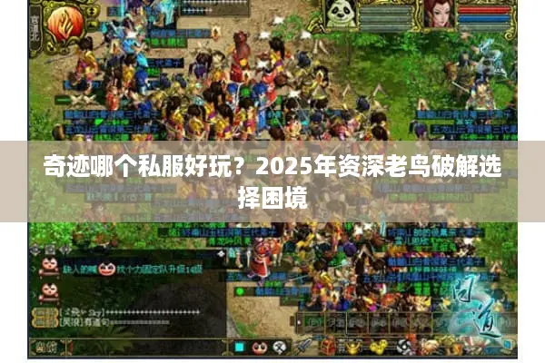 奇迹哪个私服好玩？2025年资深老鸟破解选择困境