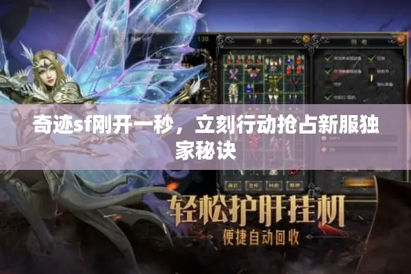 奇迹sf刚开一秒，立刻行动抢占新服独家秘诀