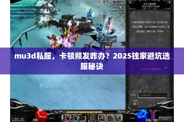 mu3d私服，卡顿频发咋办？2025独家避坑选服秘诀