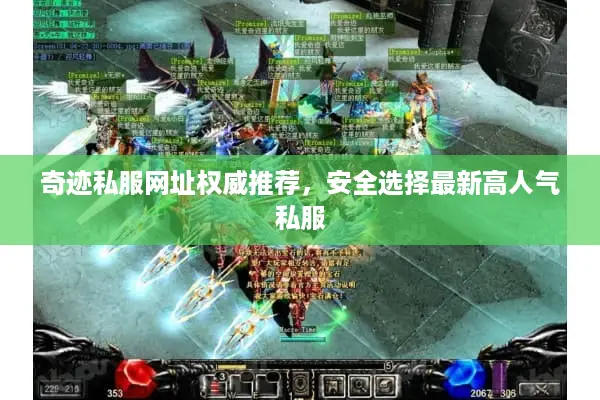 奇迹私服网址权威推荐，安全选择最新高人气私服