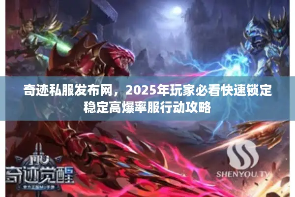 奇迹私服发布网，2025年玩家必看快速锁定稳定高爆率服行动攻略