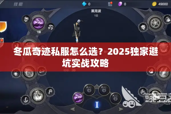 冬瓜奇迹私服怎么选？2025独家避坑实战攻略