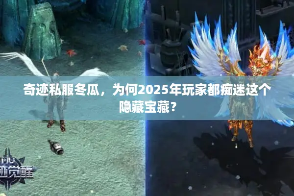 奇迹私服冬瓜，为何2025年玩家都痴迷这个隐藏宝藏？