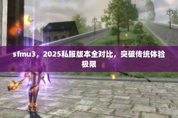 sfmu3，2025私服版本全对比，突破传统体验极限