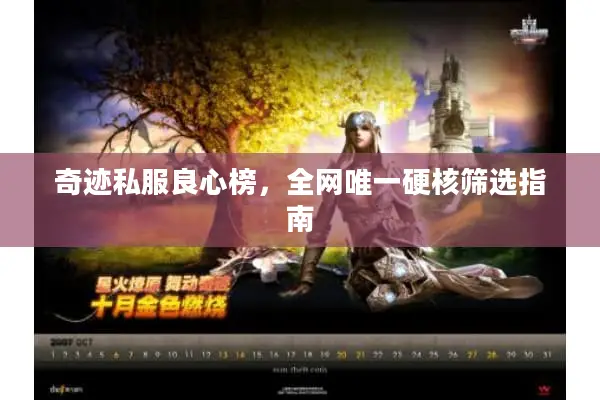 奇迹私服良心榜，全网唯一硬核筛选指南