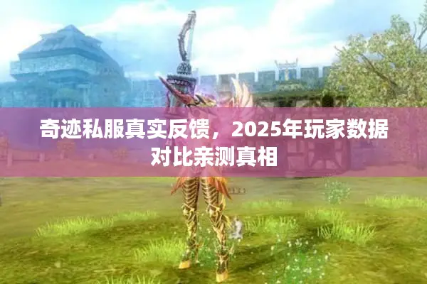奇迹私服真实反馈，2025年玩家数据对比亲测真相