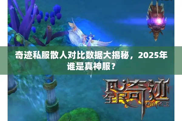 奇迹私服散人对比数据大揭秘，2025年谁是真神服？