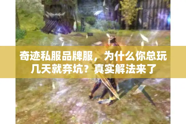 奇迹私服品牌服，为什么你总玩几天就弃坑？真实解法来了