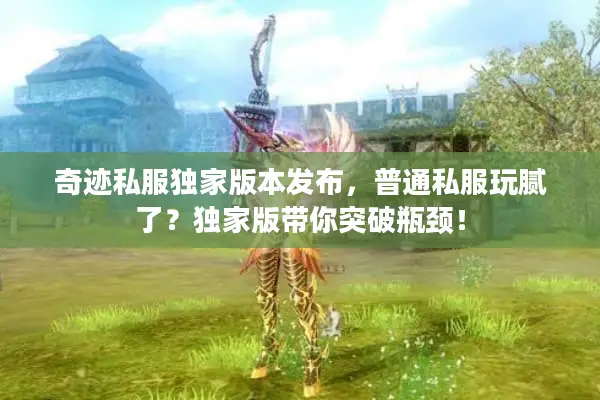 奇迹私服独家版本发布，普通私服玩腻了？独家版带你突破瓶颈！