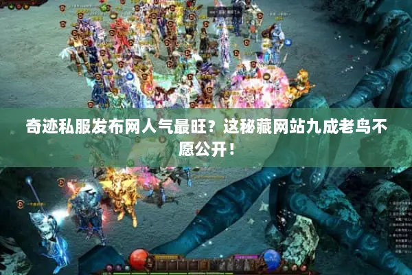 奇迹私服发布网人气最旺？这秘藏网站九成老鸟不愿公开！