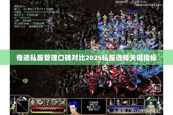 奇迹私服管理口碑对比2025私服选择关键指标 奇迹私服管理口碑对比2025私服选择关键指标