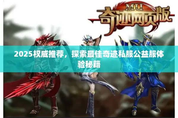 2025权威推荐，探索最佳奇迹私服公益服体验秘籍
