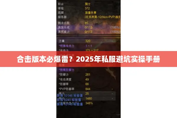 合击版本必爆雷？2025年私服避坑实操手册