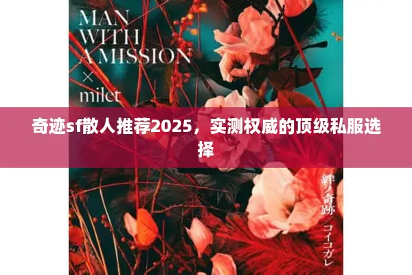 奇迹sf散人推荐2025,实测权威的顶级私服选择 奇迹sf散人推荐2025,实测权威的顶级私服选择