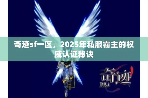 奇迹sf一区，2025年私服霸主的权威认证秘诀