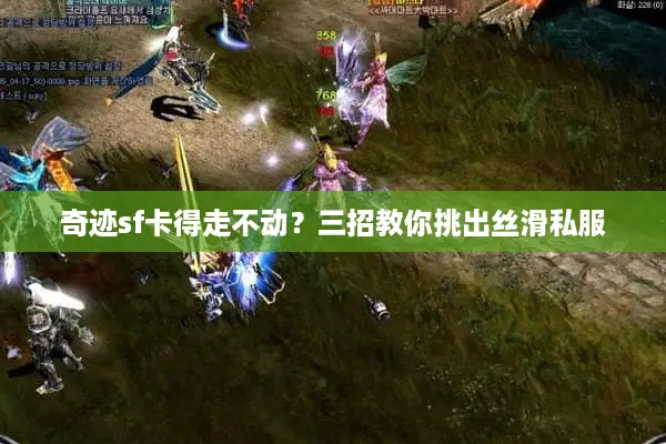 奇迹sf卡得走不动？三招教你挑出丝滑私服