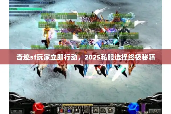 奇迹sf玩家立即行动，2025私服选择终极秘籍
