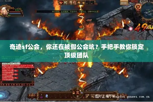 奇迹sf公会,你还在被假公会坑?手把手教你锁定顶级团队 奇迹sf公会,你还在被假公会坑?手把手教你锁定顶级团队