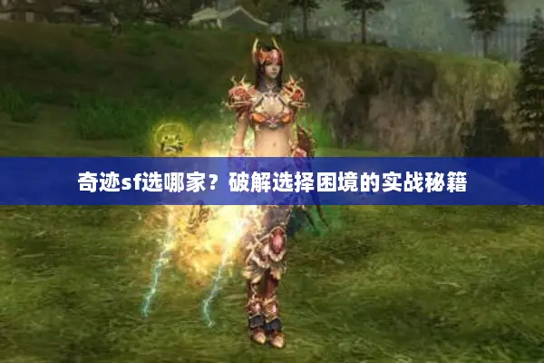 奇迹sf选哪家？破解选择困境的实战秘籍
