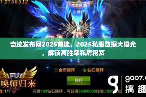 奇迹发布网2025首选，2025私服数据大曝光，解锁高胜率私房秘笈
