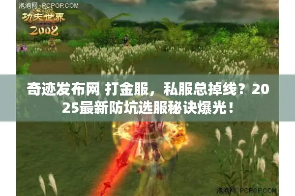 奇迹发布网 打金服，私服总掉线？2025最新防坑选服秘诀爆光！