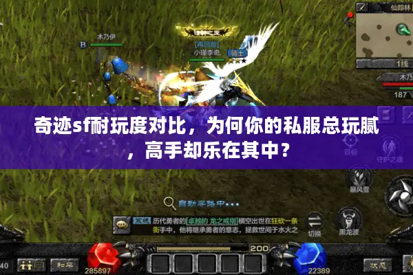 奇迹sf耐玩度对比，为何你的私服总玩腻，高手却乐在其中？