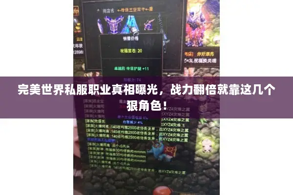 完美世界私服职业真相曝光，战力翻倍就靠这几个狠角色！